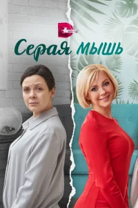 Серая мышь   Серая мышь