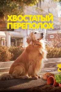 Хвостатый переполох   Хвостатый переполох